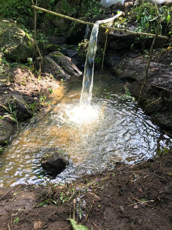 Chale Suico - Chales Belo Monte - Sitio Belo Monte Pacoti Exteriér fotografie